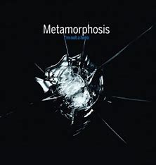 METAMORPHOSIS - I'm not a Hero